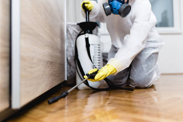 Best Ant Control Services  in Wilmington, OH