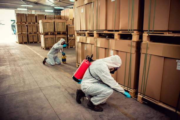 Trusted Wilmington, OH Pest Control Experts