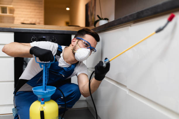 Best Best Pest Control Companies  in Wilmington, OH