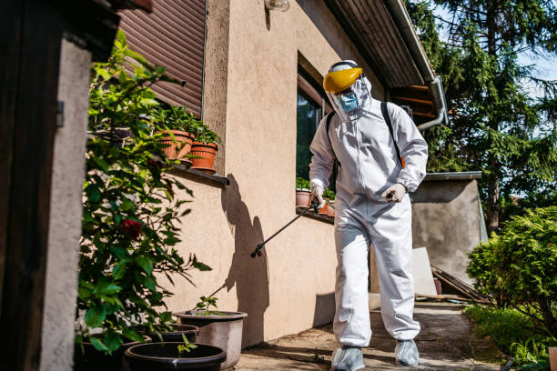 Best Pest Control Near Me  in Wilmington, OH