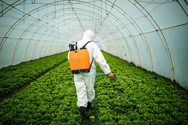 Best Pest Inspection Near Me  in Wilmington, OH