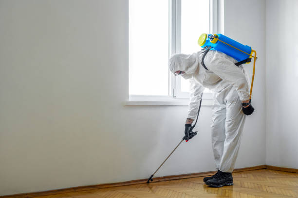Best Flea Control Services  in Wilmington, OH