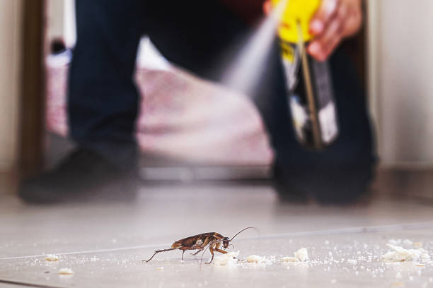 Best Best Pest Control Companies  in Wilmington, OH