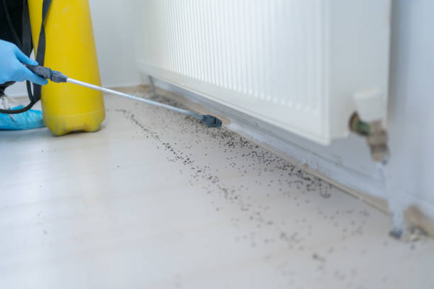 Best Commercial Pest Control Services  in Wilmington, OH
