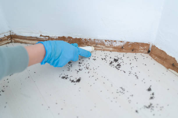 Best Pest Control Treatment  in Wilmington, OH