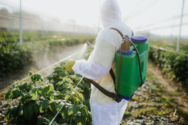 Best Residential Pest Control  in Wilmington, OH